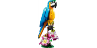 LEGO CREATOR Le perroquet exotique 2023